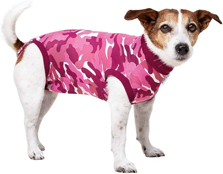 Amazon.com : Suitical Recovery Suit for Dogs | Spay and Neutering ...