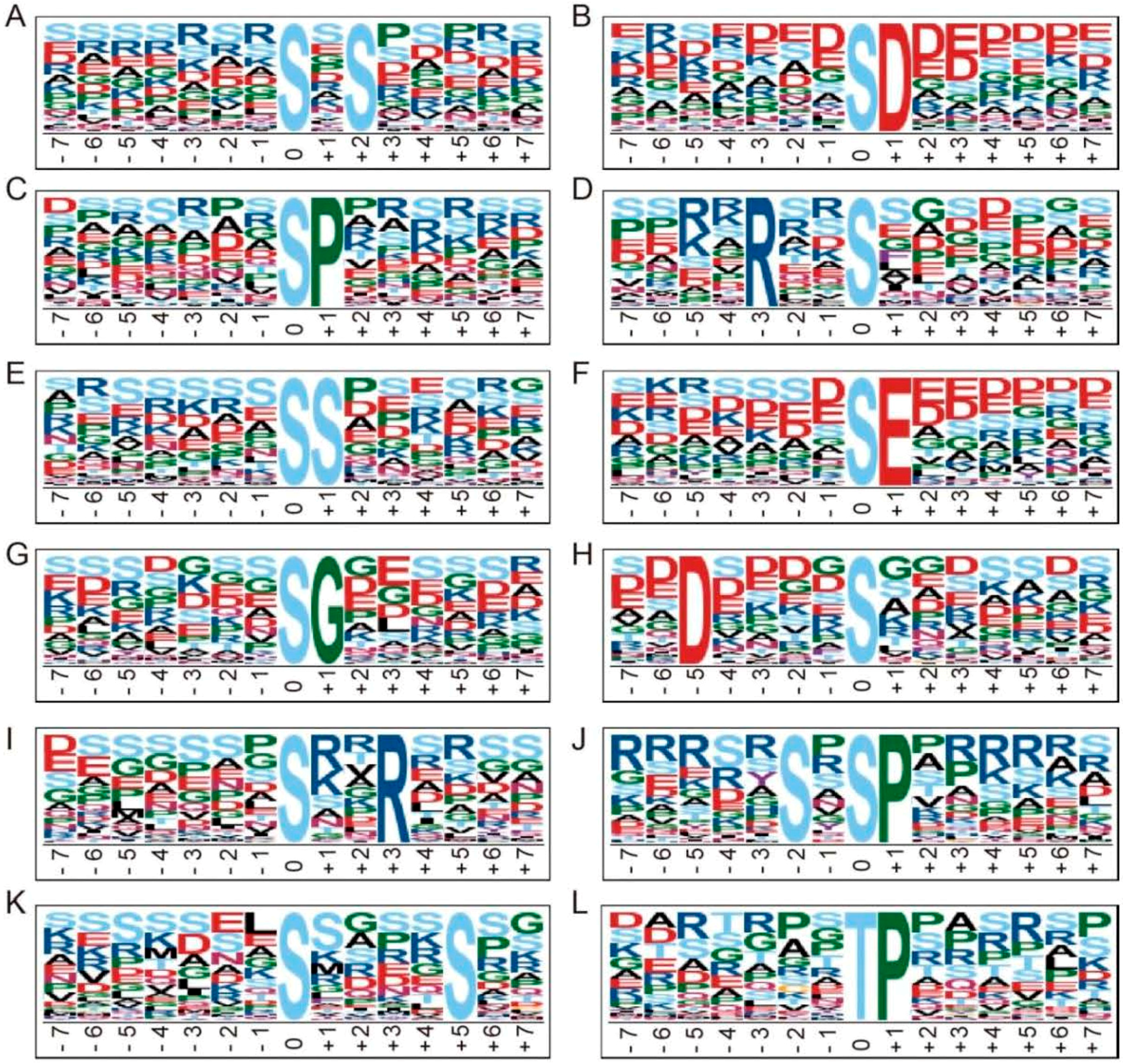 IJMS | Free Full-Text | The Phosphoproteomic Response of Rice ...