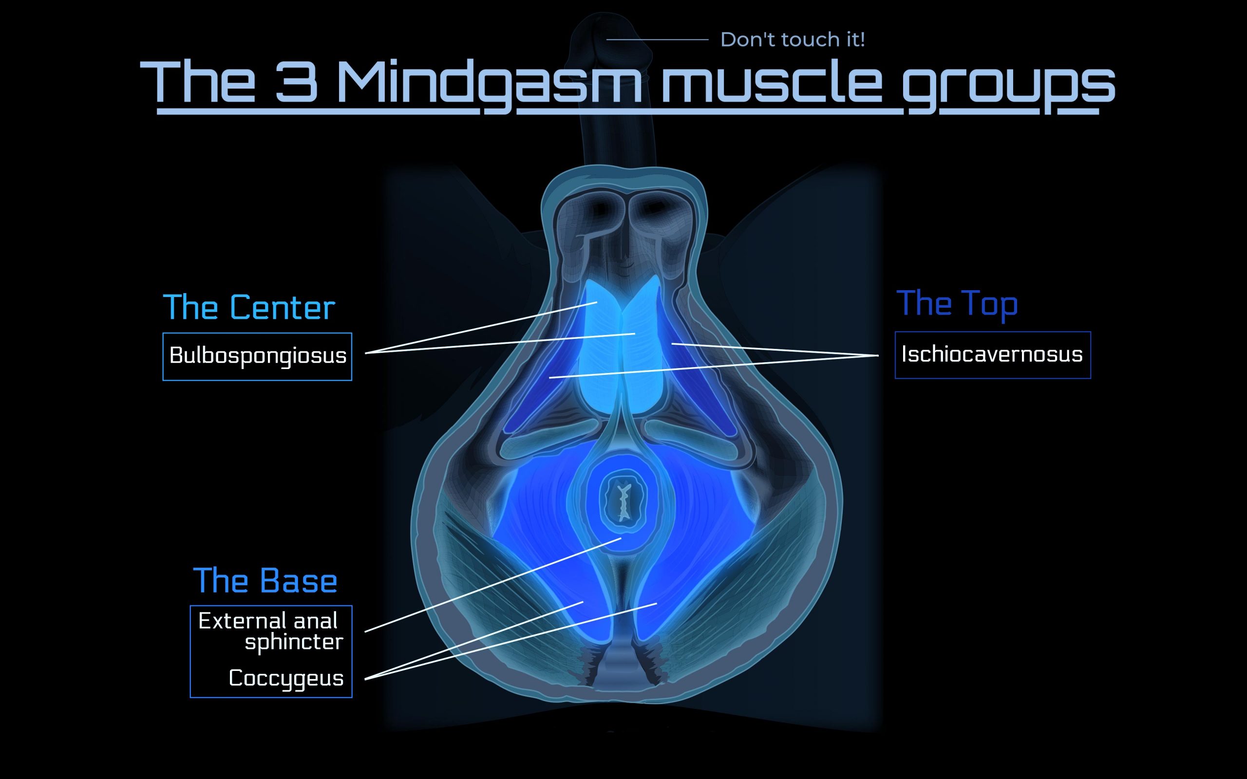 Blog - Mindgasm