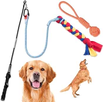 Amazon.com: YES4QUALITY Poste de coqueteo para perros con cuerda ...