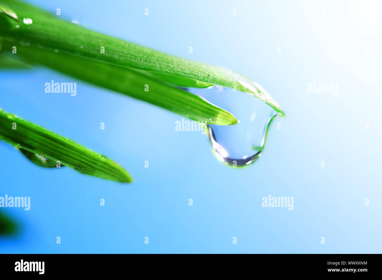 water drop shine in sun light Stock Photo - Alamy