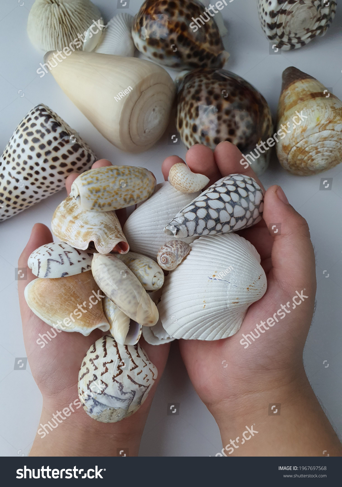 Chubby Little Malay Boy Hands Holding Stock Photo 1967697568 ...