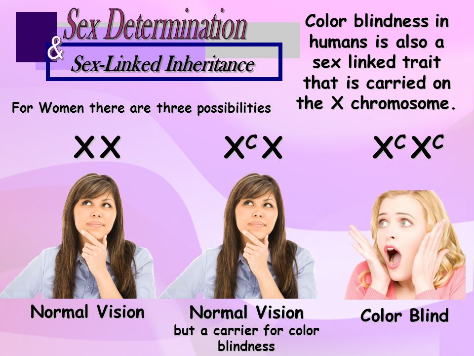 Below are the karyotypes of two individuals What is the difference ...