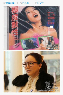 China's Hottest New Politician: Former Hong Kong Softcore Porn ...