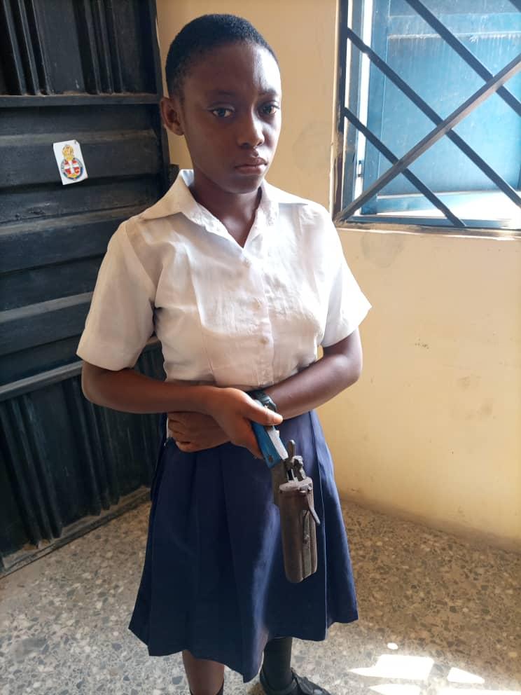 18-yr-old girl brings gun to school to kill VP over tinted hair