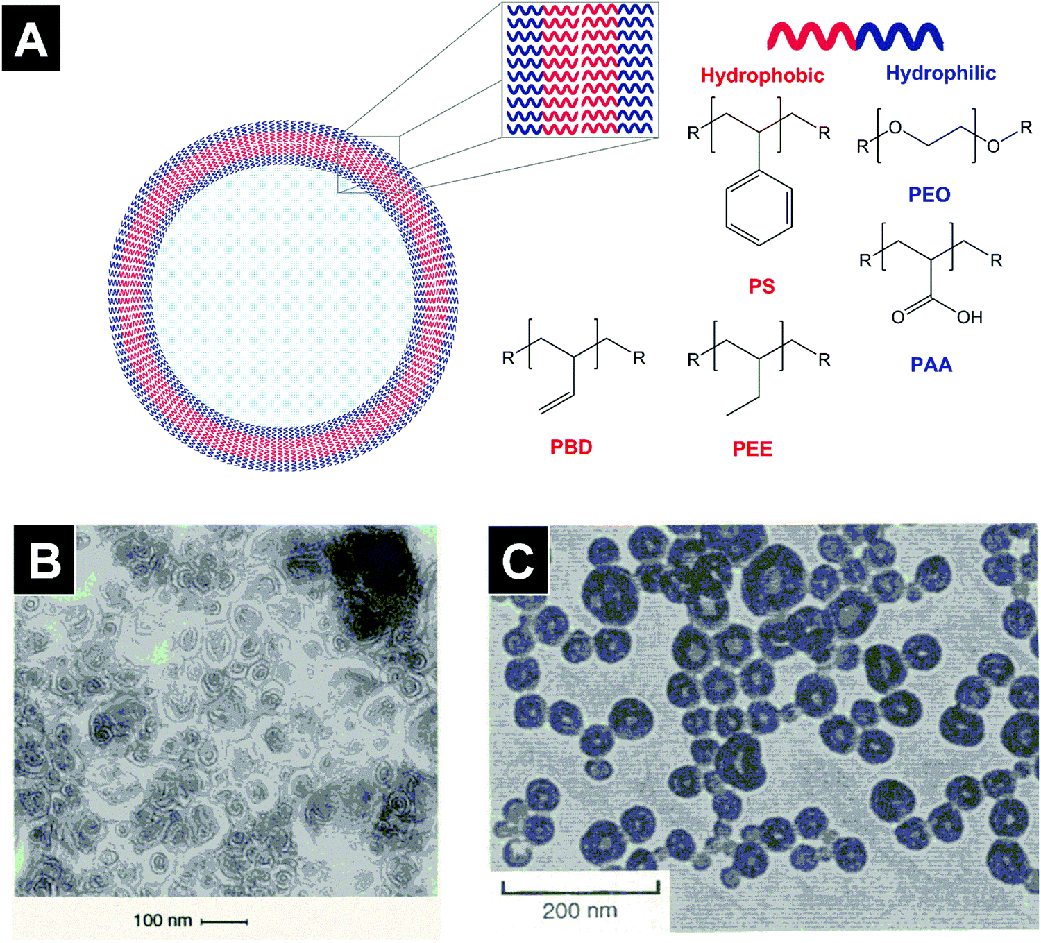 Twenty-five years of polymersomes: lost in translation ...