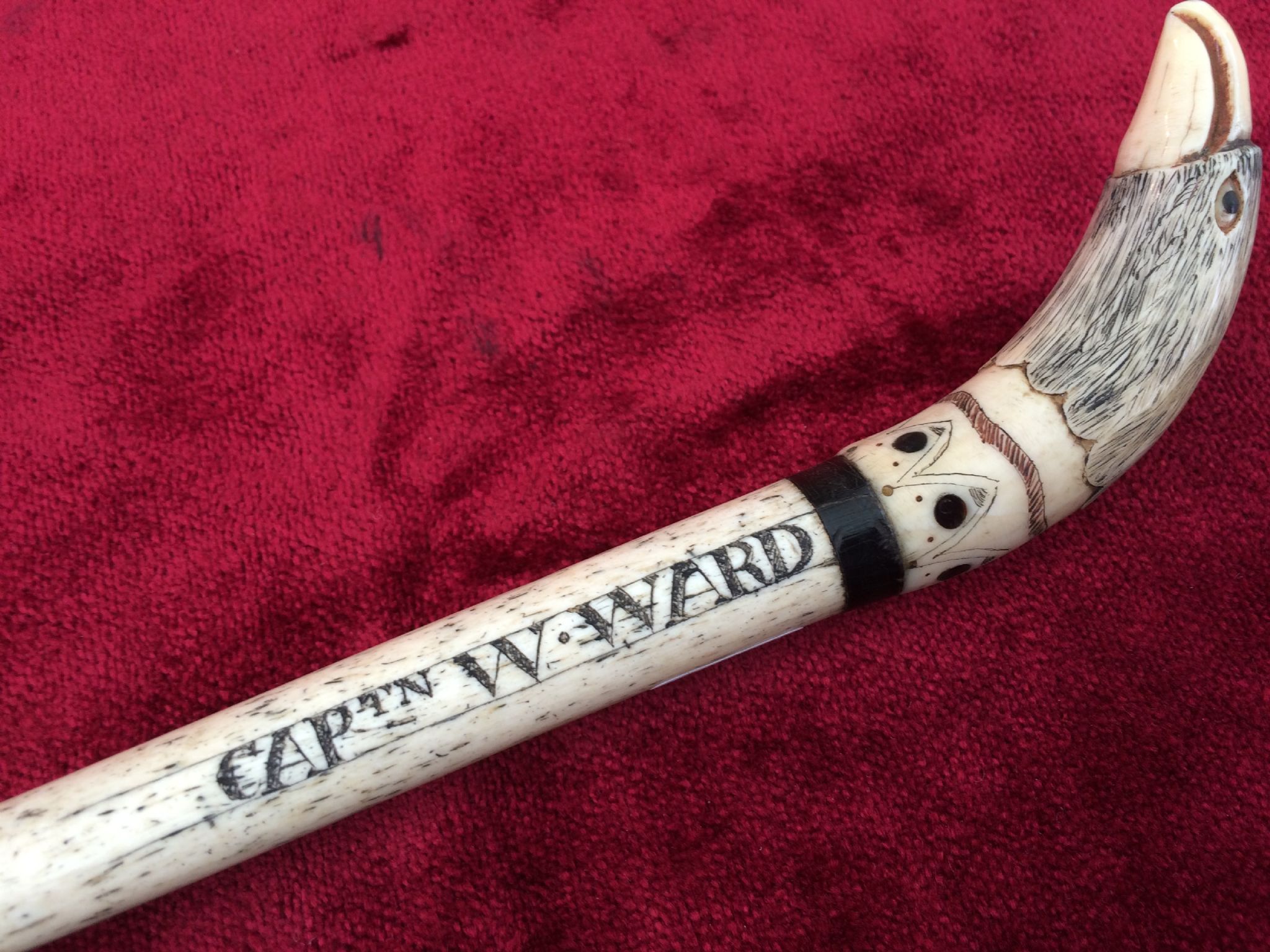 X X X SOLD X X X A whalebone scrimshawed walking cane Capt Ward ...