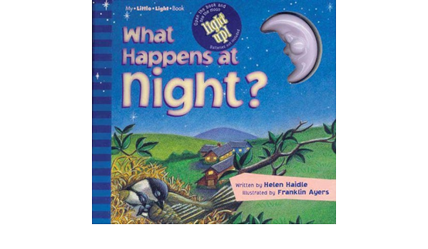 What Happens at Night: My Little Light Book: Haidle, Helen, Ayers ...