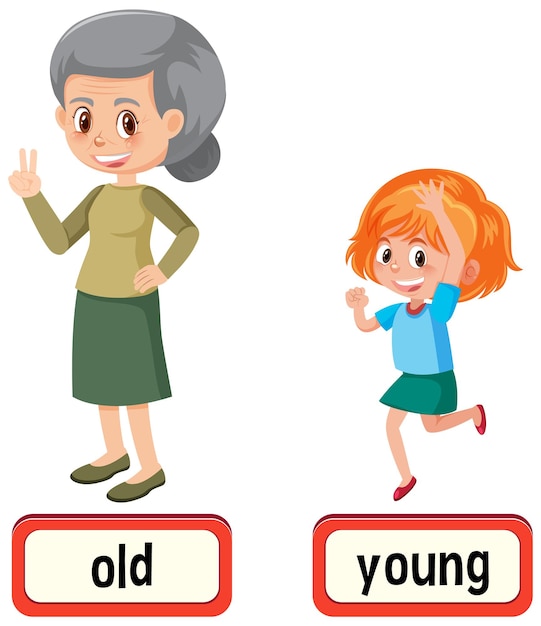 Premium Vector | Opposite words for old and young