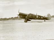 Asisbiz Curtiss P 40M Warhawk RNZAF M Black 37 belly landing on ...