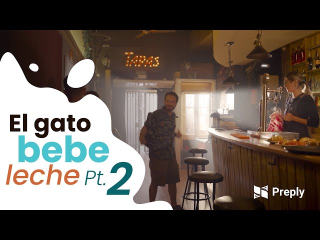 El gato bebe leche? Pt. 2 - YouTube