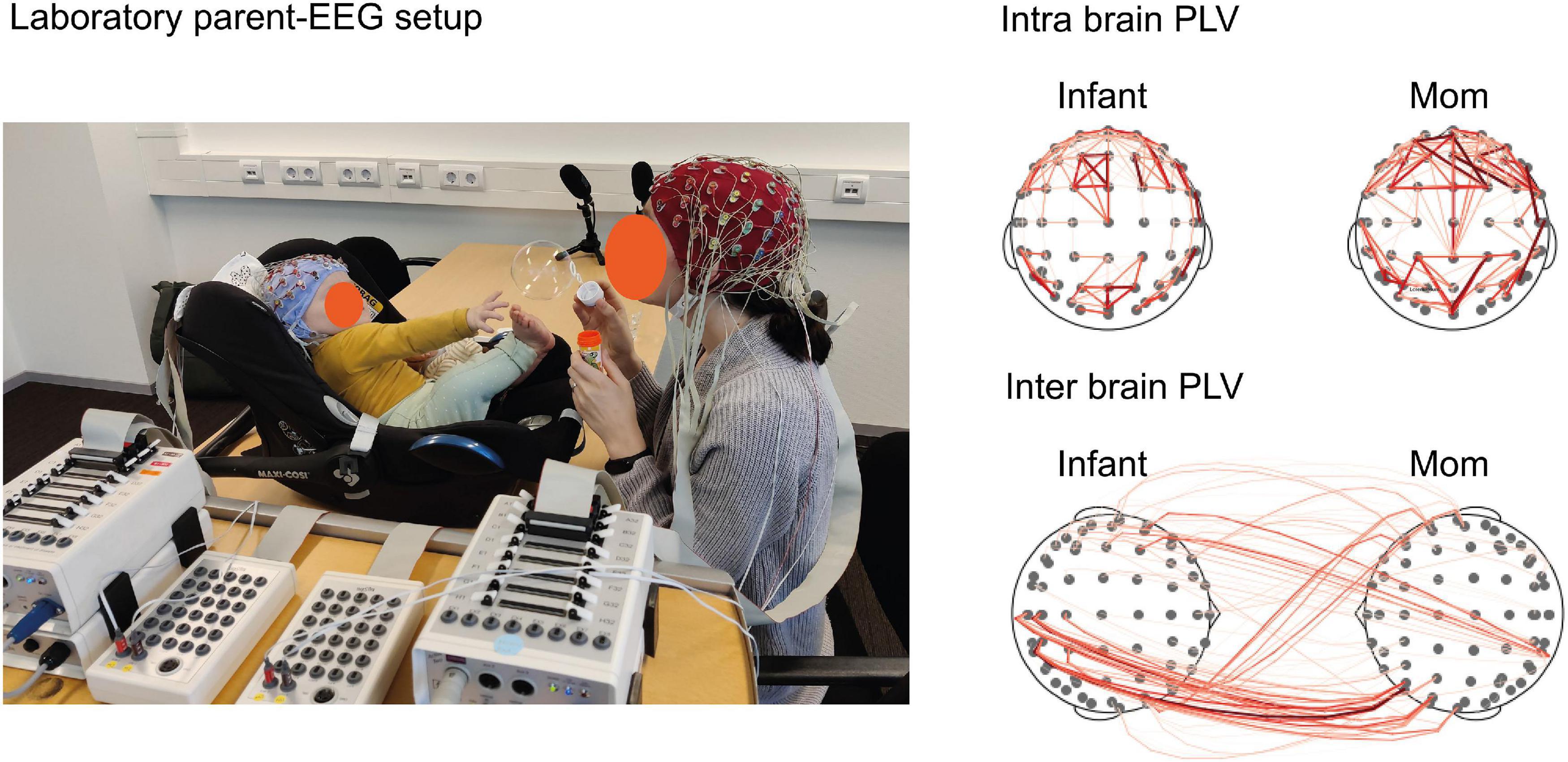 Frontiers | Brains in Sync: Practical Guideline for Parent–Infant ...