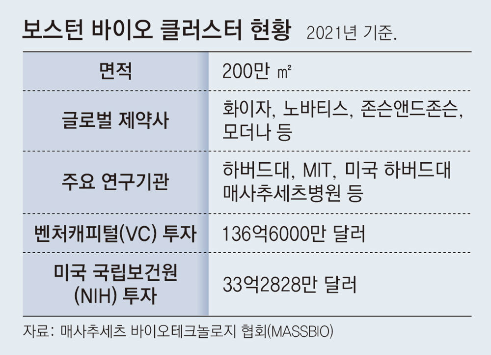 보스턴 클러스터 투자 10배 늘어… K바이오에 기회의 땅”｜동아일보