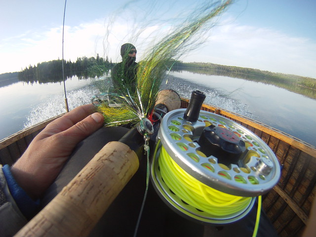 Fish porn from the annual pike trip 2011 | The Caddis Fly: Oregon ...