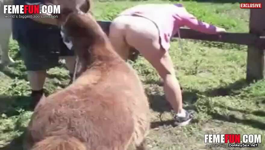 women fucked by donkey