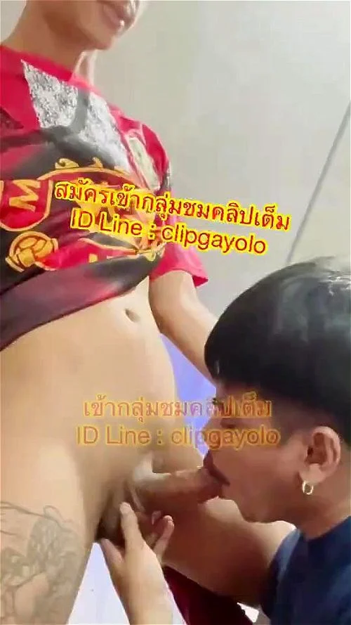 Watch ชายไทยชักว่าว - Gay, ชาย, ชายเดี่ยว Porn - SpankBang