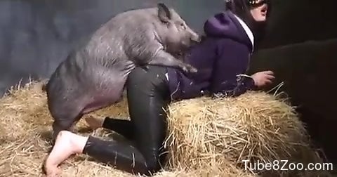 Hairy pussy mommy getting fucked by a dirty pig