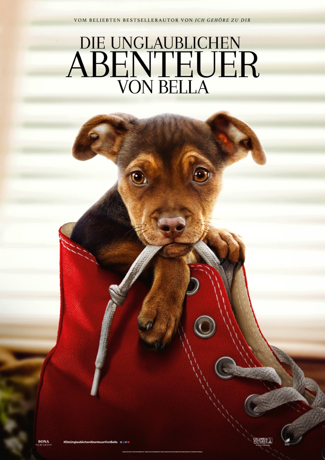 A Dog's Way Home (2019) - IMDb