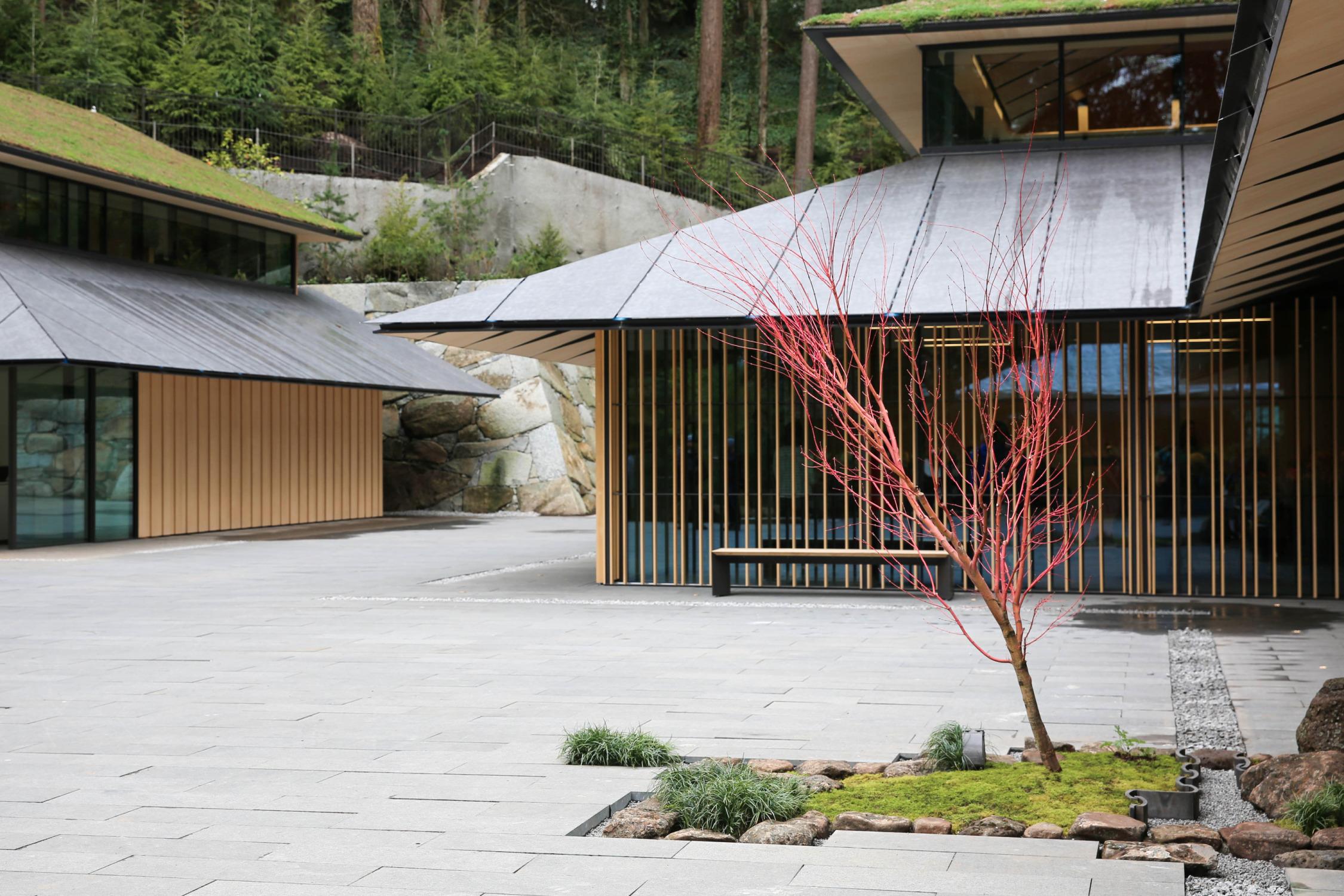 Conor Oberst | Portland Japanese Garden Reopens | YA Stars Laini ...