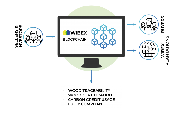 Strategy – WIBEX