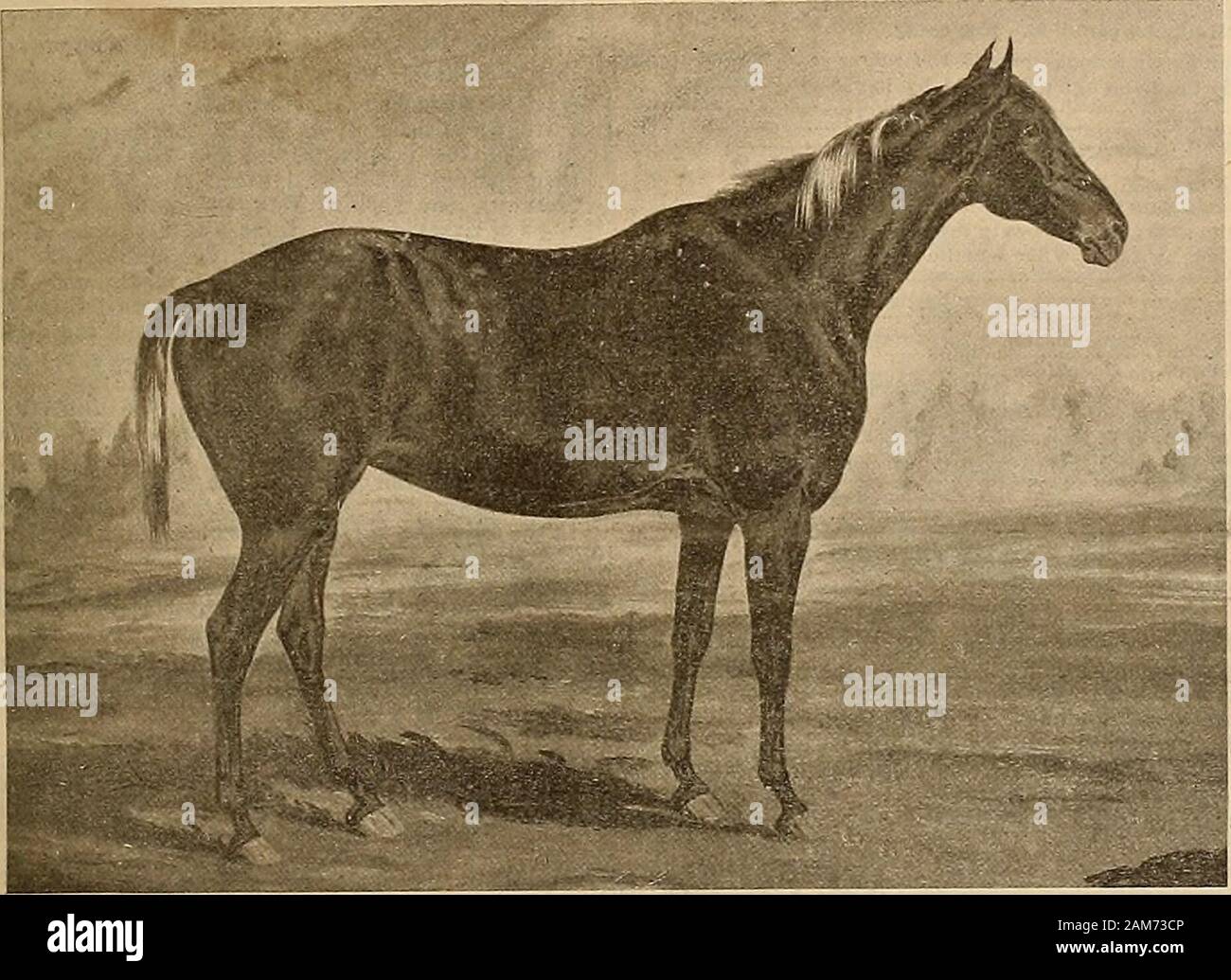 Breeder and sportsman . Vol. XXJX. No. 3. No. 313 BLSH STREET. SAN ...