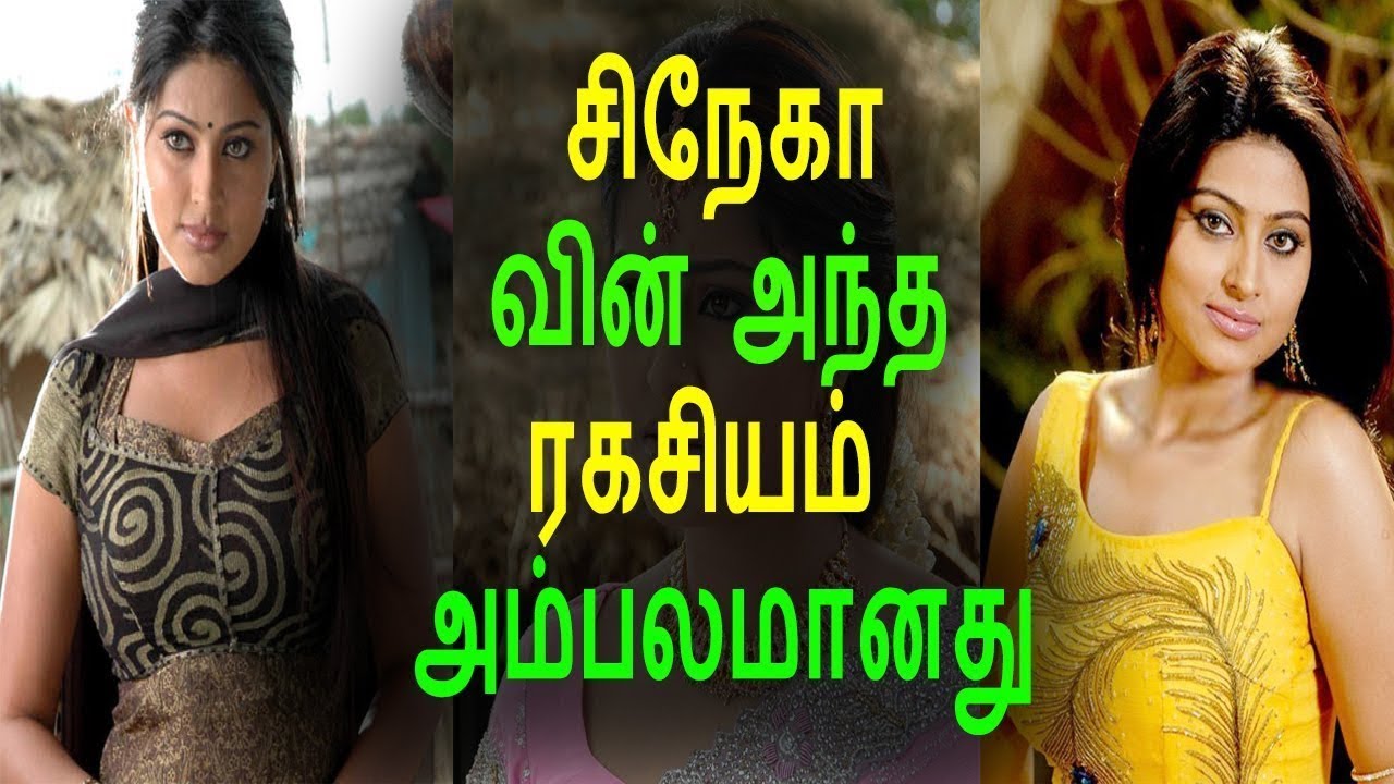 நடிகை சினேகா வெளிமாநில படங்களில் ...