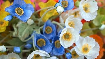 Amazon.com: FiveSeasonStuff Silk Poppies Artificial Flower Bouquet ...