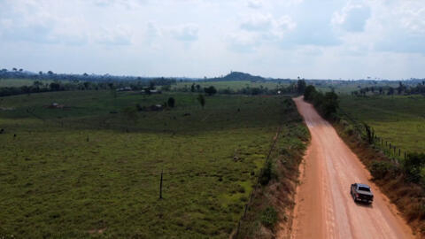 The 'agricultural mafia' taking over Brazil's Amazon rainforest ...