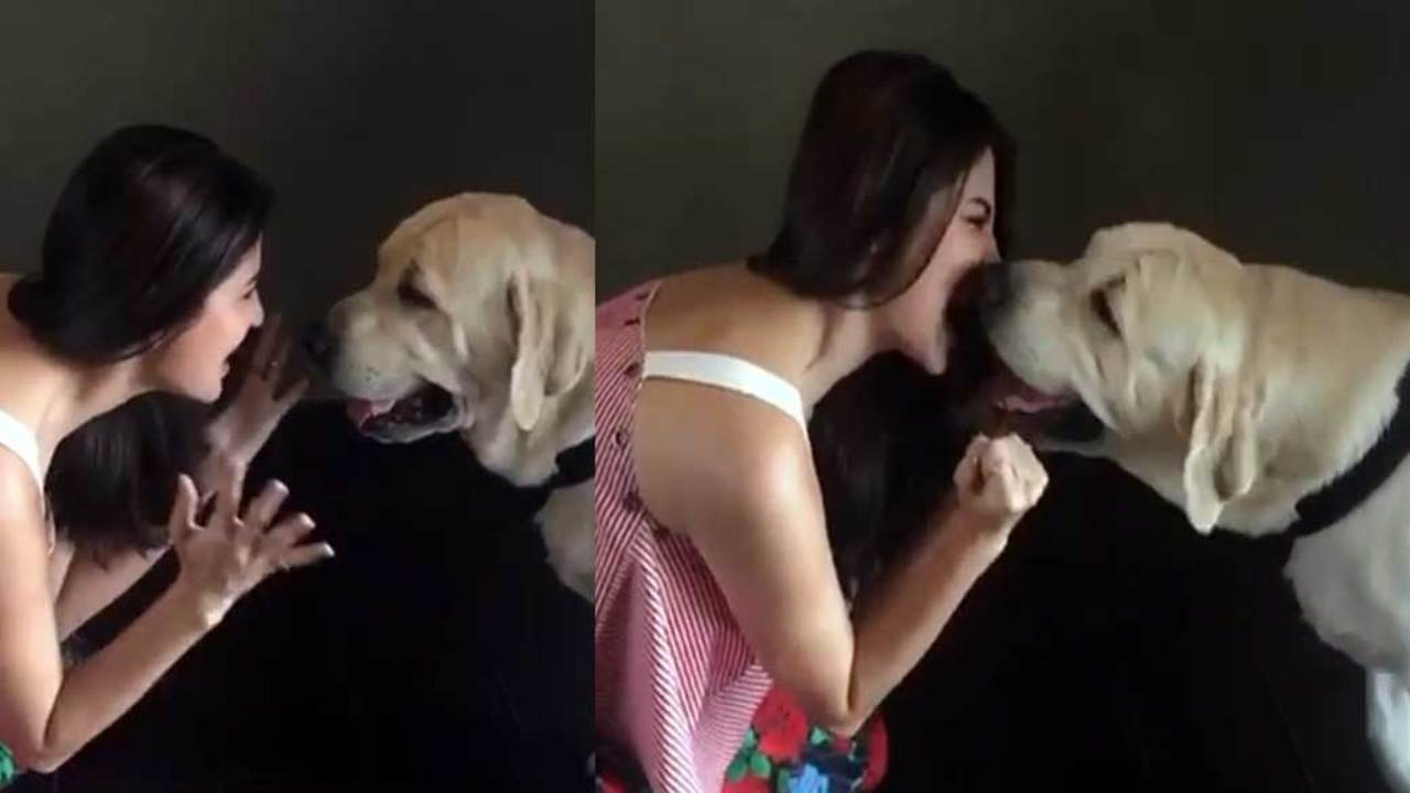 This video of Anushka Sharma singing to her dog is too cute to ...