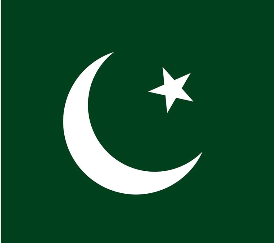 Amazon.com : magFlags XXXS Flag Pakistan | landscape flag | 0.135 ...