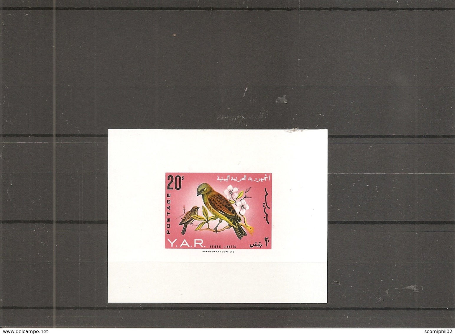 Sparrows - Moineaux ( BF 34 XXX -MNH- de la République du y-émen)