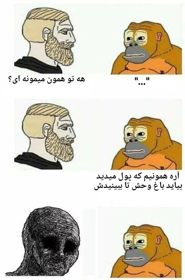 این میمونه چرا انقدر پستون داره؟😂💔 : r/20member