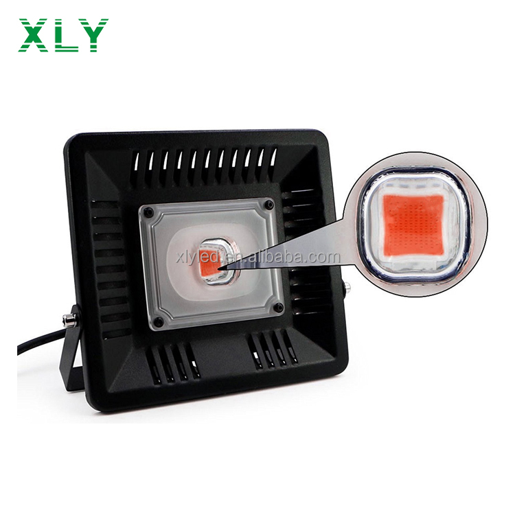 Source COB Led Flood Light 50W 100W Full Spectrum Outdoor Lamp ...