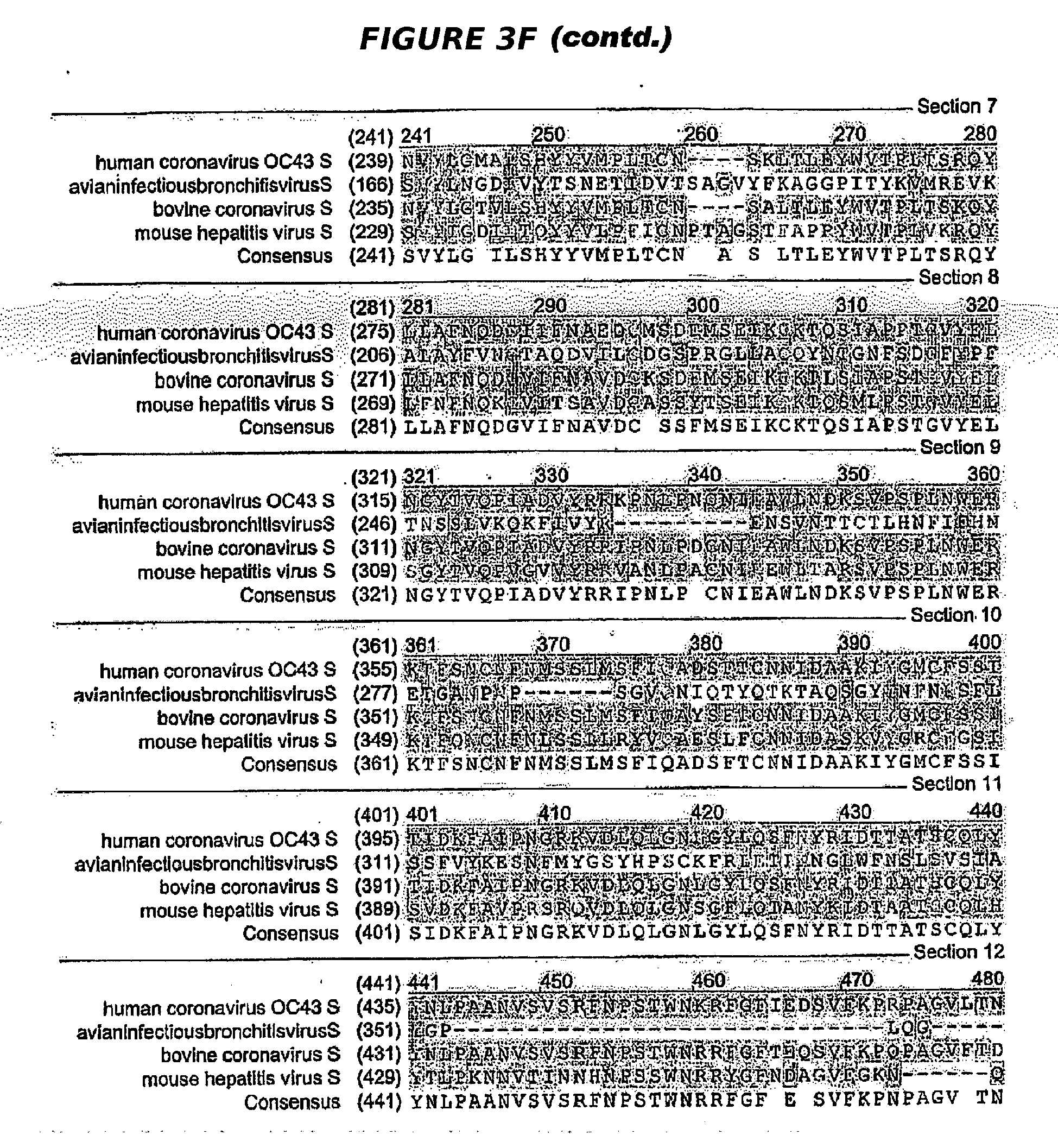 EP1618127B1 - Immunogenische Zusammensetzung einer Spikeprotein ...