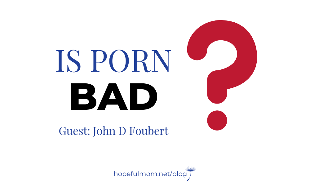 John D Foubert - Is Porn Bad? - HOPEFUL MOM