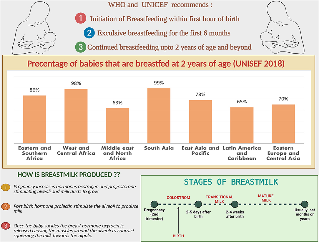 Frontiers | Breast Milk: A Meal Worth Having