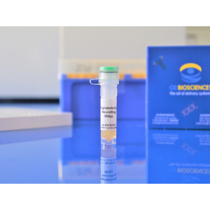 NeuroMag - Neurons Transfection Reagent - OZ Biosciences