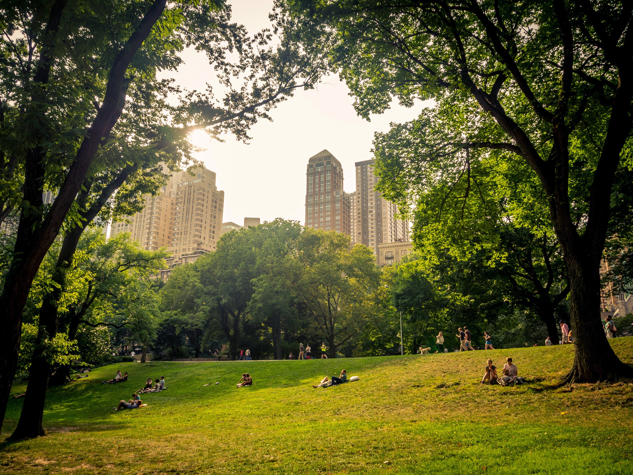 You'll Feel Better if You Go Outside | The New Yorker