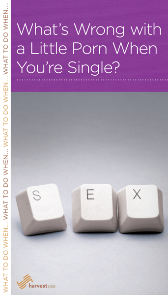 What's Wrong with a Little Porn When You're Single? - Harvest USA Book