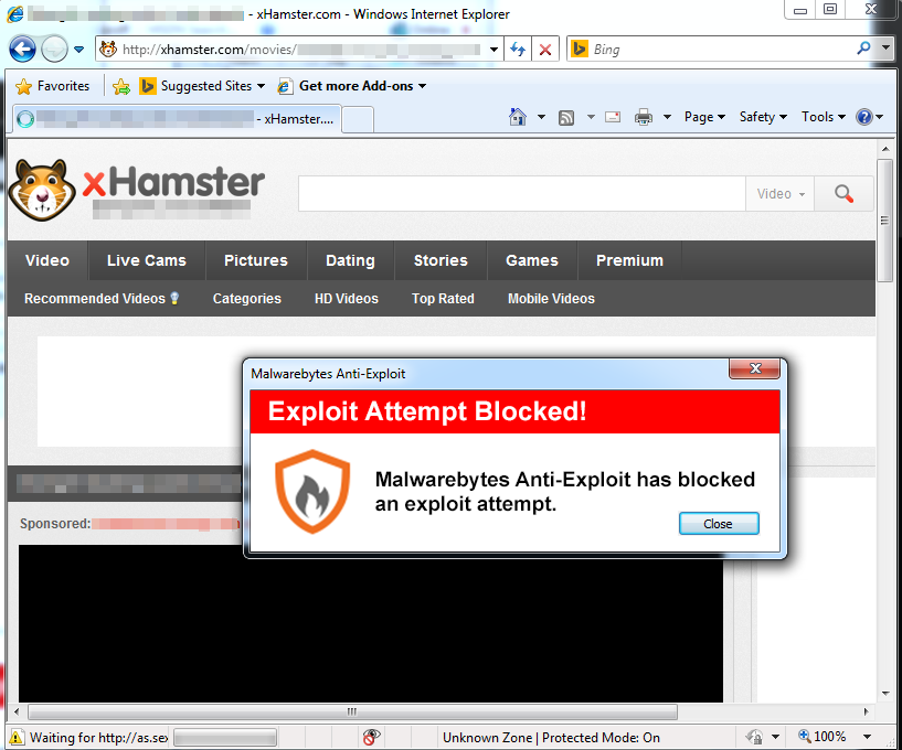 Top adult site xhamster victim of large malvertising campaign ...