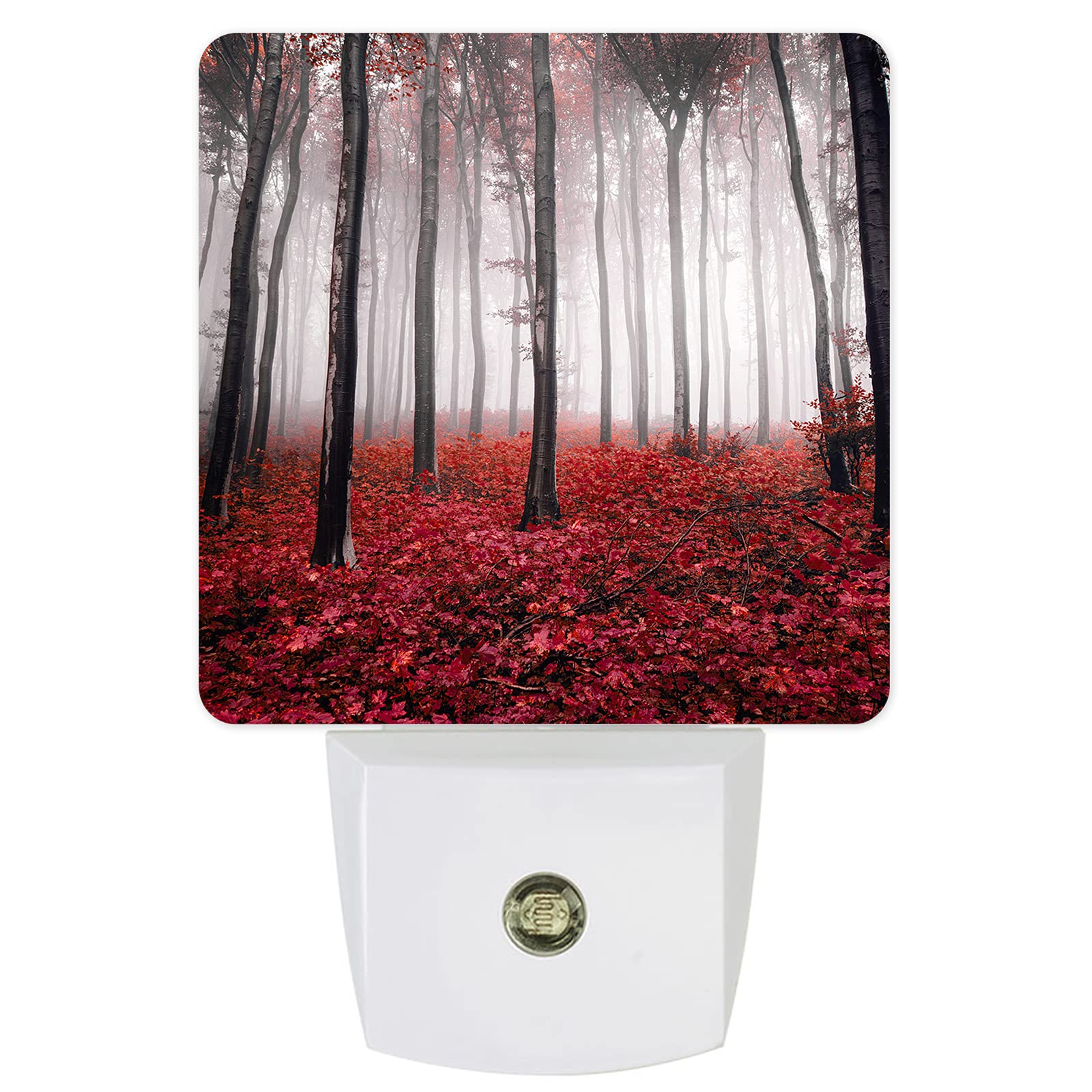 Red Maple Leaf Plug-in LED Night Lights Autumn Falling Leaves ...