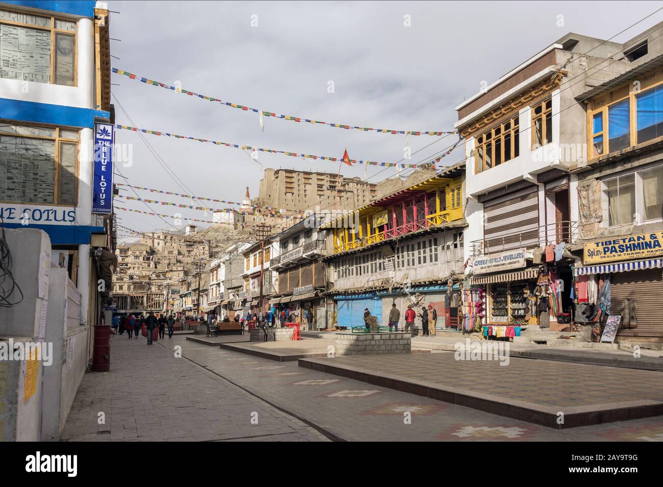 Bazaar Road with prayer flags looking towards Leh Palace, Leh ...