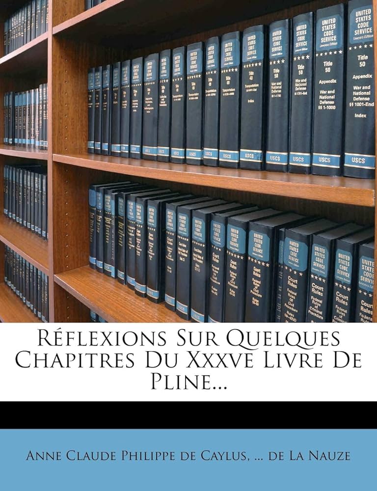 Amazon.com: Réflexions Sur Quelques Chapitres Du Xxxve Livre De ...