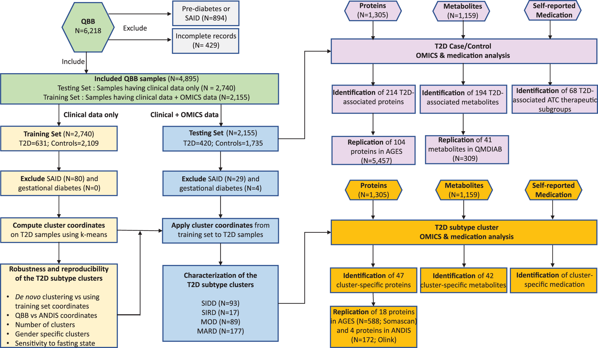 Metabolic and proteomic signatures of type 2 diabetes subtypes in ...