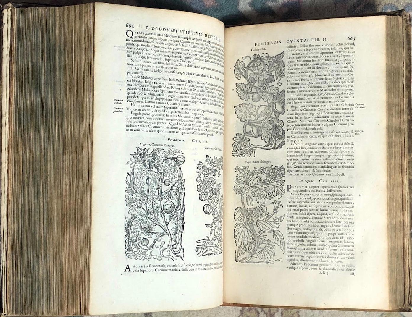 Stirpium Historiae Pemptades sex Sive Libri XXX. by Dodoens ...