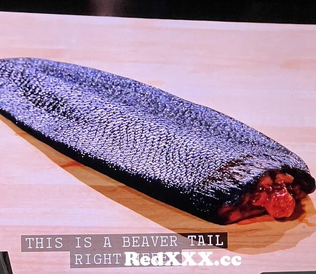 TIL Season 4 Episode 1 A contestant cooked a beaver tail from ful ...