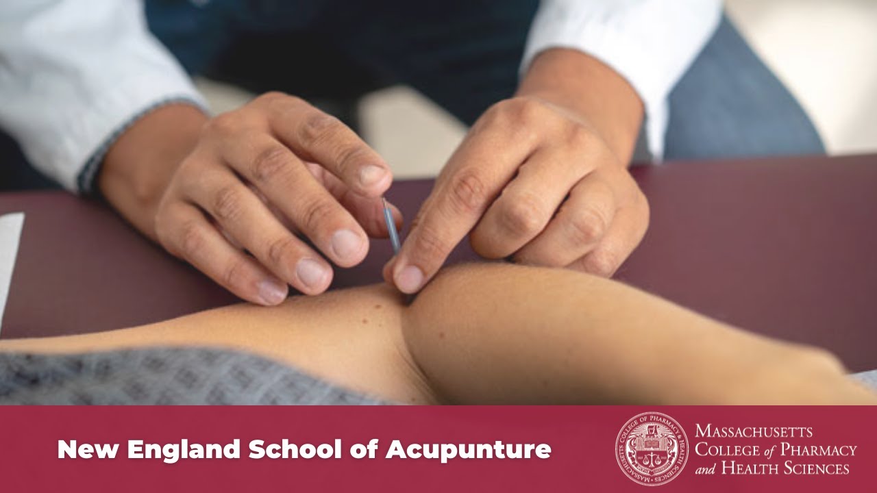 BS in Public Health Acupuncture Pathway | MCPHS