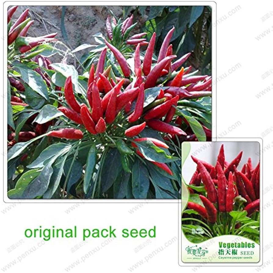 35 Seeds / Pack,Cayenne pepper seeds,Chili Vegetable,Potted plant ...