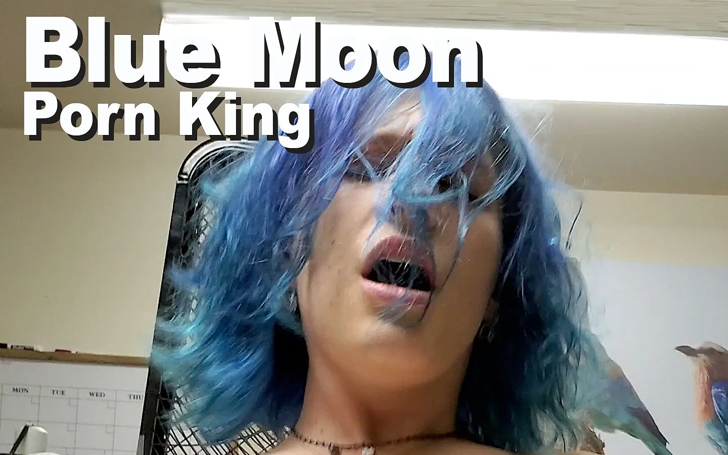 Blue Moon & Porn King suck fuck cumshot by Edge Interactive ...