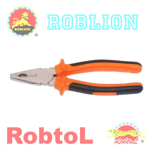 RobtoL & RobLion